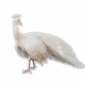 Sticker White paon pose (Devant)