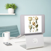 Sticker White Yellow Daffodils Spring Easter Wedding  (Ordinateur portable sur le bureau)