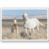 Sticker Wild Horses at Home in the Sandwash Basin (Devant)