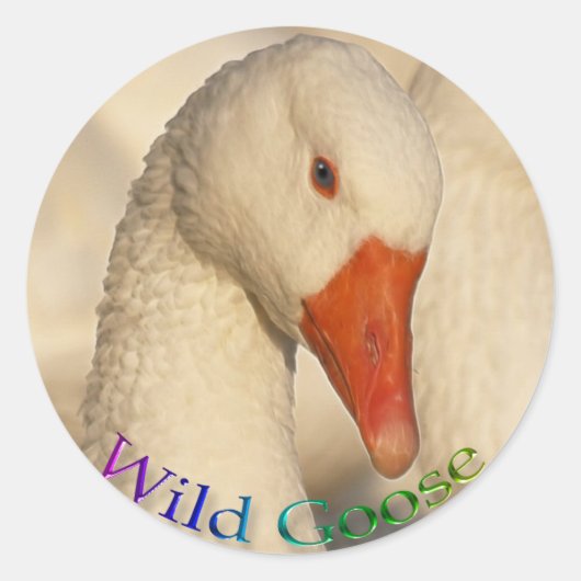 Sticker Wild White Oose Bird Wildlife (Devant)