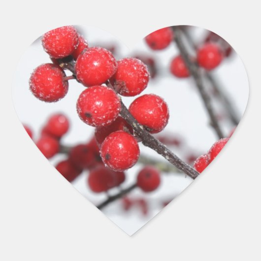Sticker Winterberry (Devant)