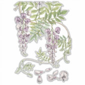 Sticker Wisteria Florals Artisanat et découpage (Devant)