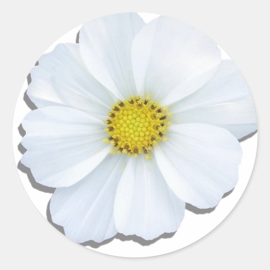 Sticker - Witte kosmos (Voorkant)
