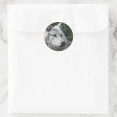 Sticker wolf (Tas)