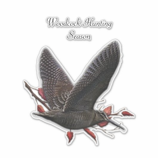 Sticker Woodcock (Devant)