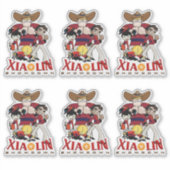 Sticker Xiaolin Showdown | 8"x 8"- Brillant Transparent (Devant)
