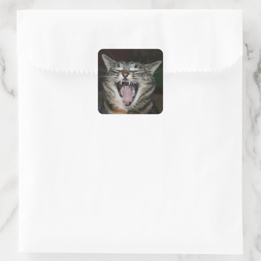 Sticker Yawner (Sac)