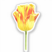 Sticker Yellow and red tulip (Recto)