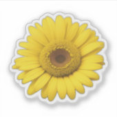 Sticker Yellow Daisy Petals  (Devant)
