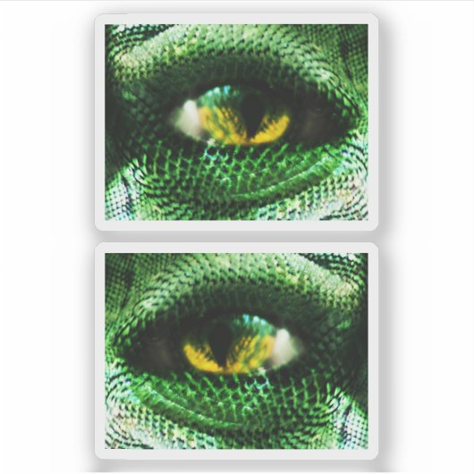 Sticker * Yeux d'un ? ? ? (Devant)