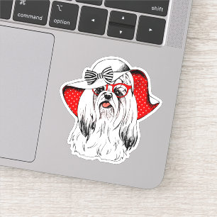 Sticker Yorkie Fashion Shoot