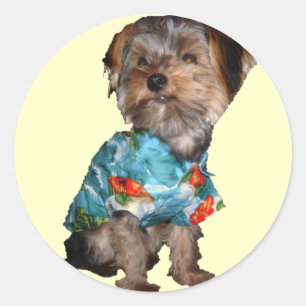 Sticker Yorkie Hawaïen