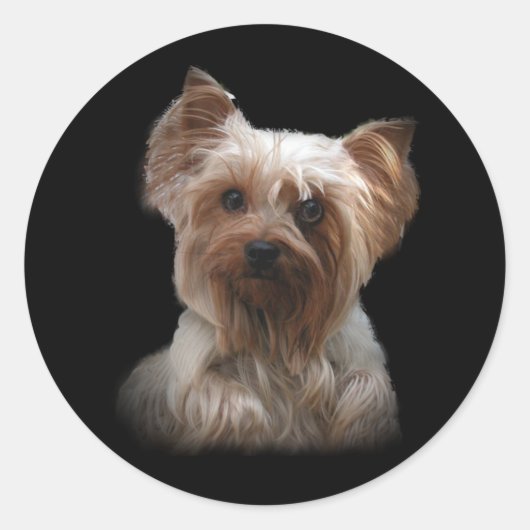 Sticker Yorkshire Terrier (Devant)