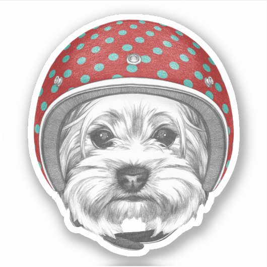 Sticker Yorkshire Terrier Daredevil (Devant)