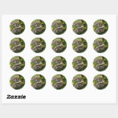 Stickers (Feuille)