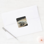 Stickers (Enveloppe)