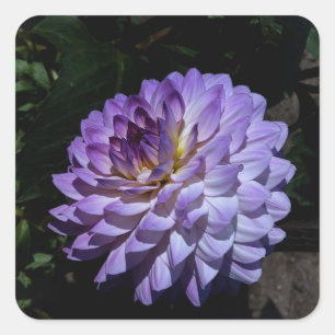 Stickers #1 de Dahlia Bea Paradise