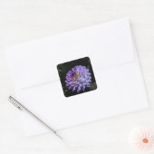 Stickers #1 de Dahlia Bea Paradise (Enveloppe)