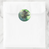Stickers #3 de l'ours grizzli (Sac)