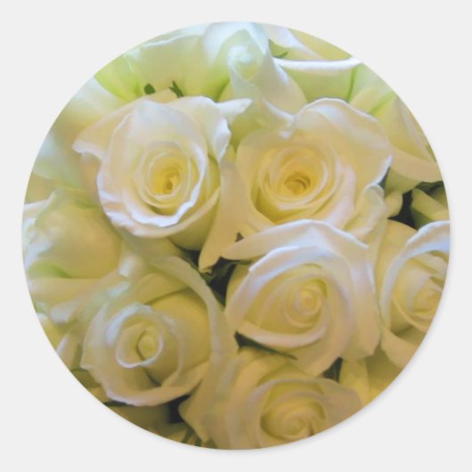 Stickers à enveloppe de rose blanche (Devant)