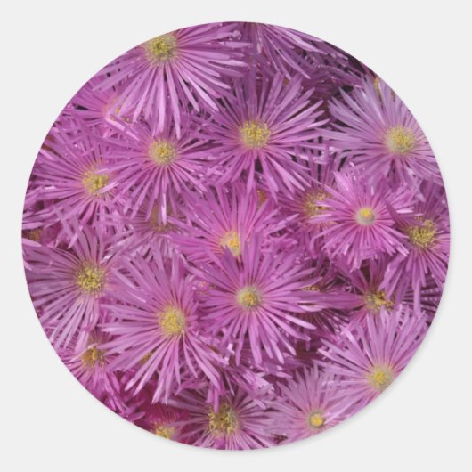 Stickers à enveloppe fleurie violette (Devant)