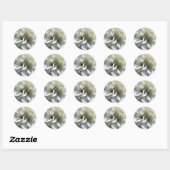 Stickers à fleurs blanches (Feuille)