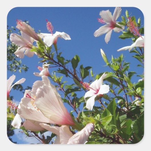 Stickers à fleurs Hibiscus (Devant)