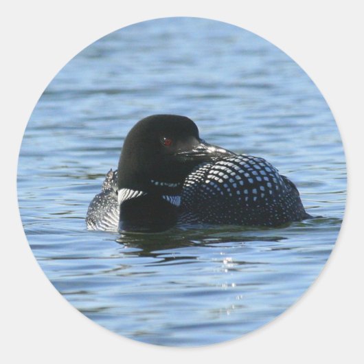 Stickers à gros huards (Devant)