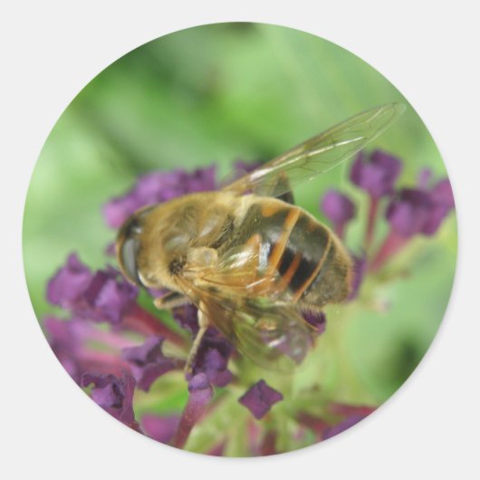 Stickers abeille à miel et fleurs violettes (Devant)