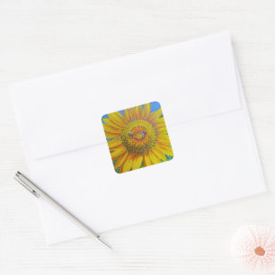 Stickers Abeilles de tournesol