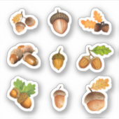Stickers Acorn (Devant)