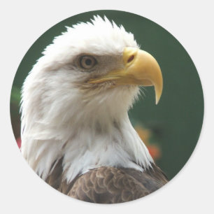 stickers aigle
