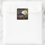 Stickers Aigle (Sac)