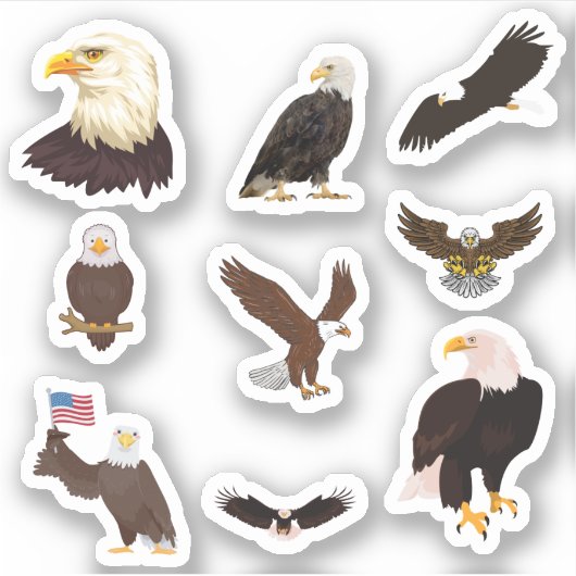 Stickers Aigle Bald (Devant)