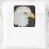 Stickers Aigle Bald (Sac)
