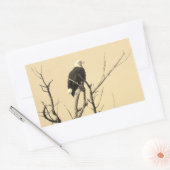 Stickers Aigle sauvage (Enveloppe)