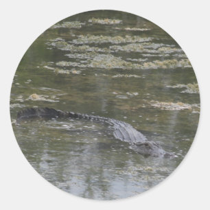 Stickers Alligator