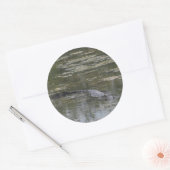 Stickers Alligator (Enveloppe)