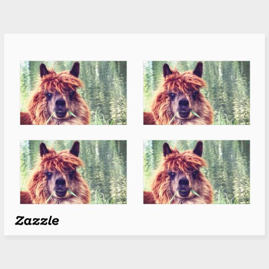 Stickers Alpaca (Feuille)