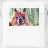 Stickers Alpaca (Sac)