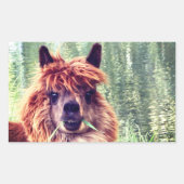Stickers Alpaca (Devant)