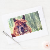 Stickers Alpaca (Enveloppe)