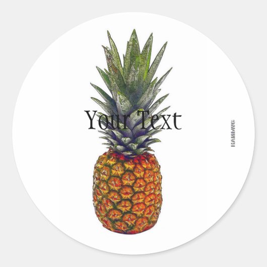 Stickers ananas HAMbWG - avec zone de texte (Devant)
