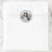 Stickers Anglais Springer Spaniel Round (Sac)