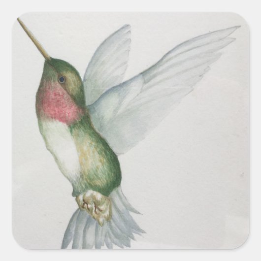 Stickers Aquarelle Elégante Colibri Ailes (Devant)