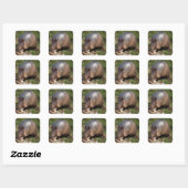Stickers Armadillo (Feuille)