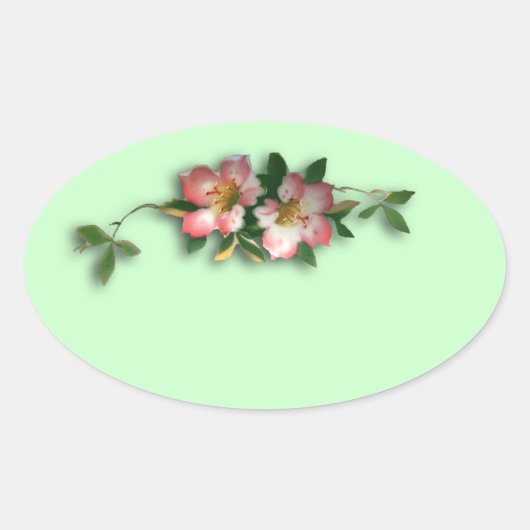 Stickers Arrière - plan rose et menthe (Devant)
