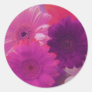 Stickers Art Décal Gerbera Rose Fleurs Faisy