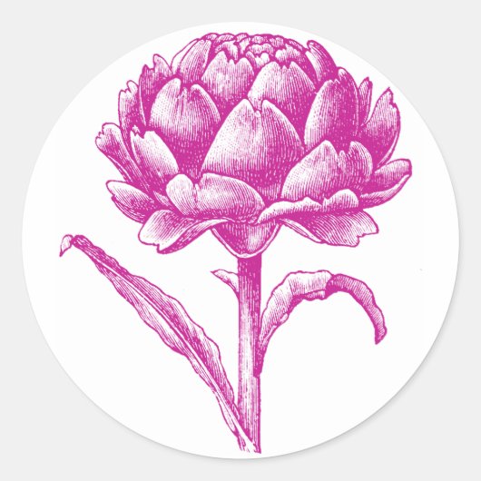 Stickers Artichoke (Devant)