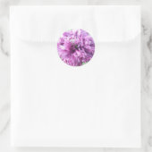 Stickers - Aster violet (Sac)